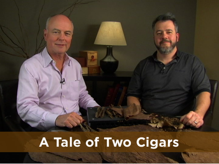 Cigar 101: Inside a Cigar