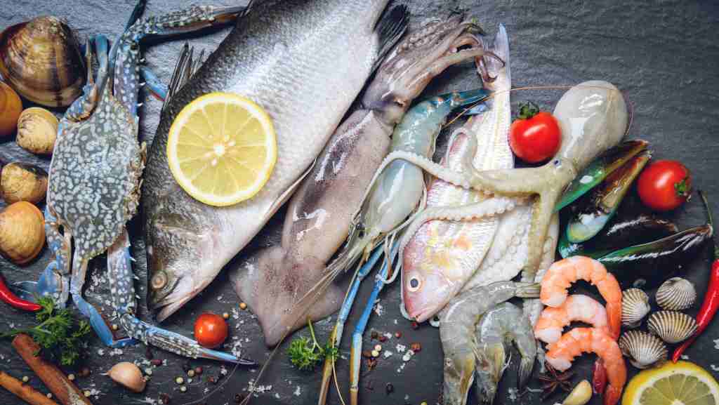 Pengertian, Jenis, Habitat, Manfaat Ekonomi, Peran Ekologis, dan Ancaman terhadap Keberlangsungan Ikan Laut sebagai Sumber Daya Penting di Ekosistem Perairan Dunia