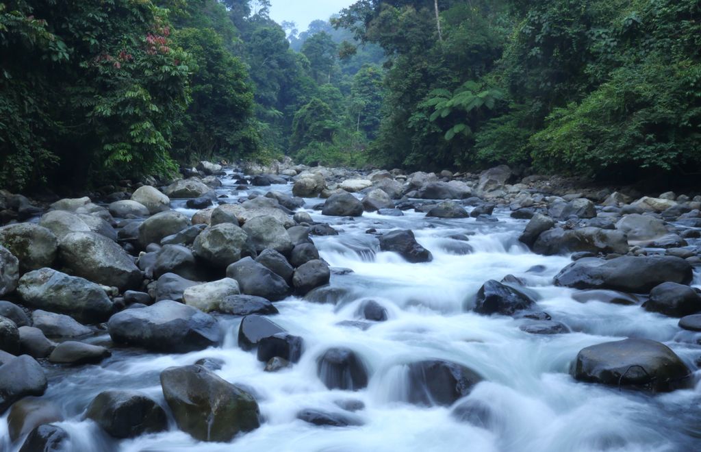 Sungai Dataran: Pengertian, Ciri-Ciri, Contoh Sungai di Indonesia, Fungsi Ekologis