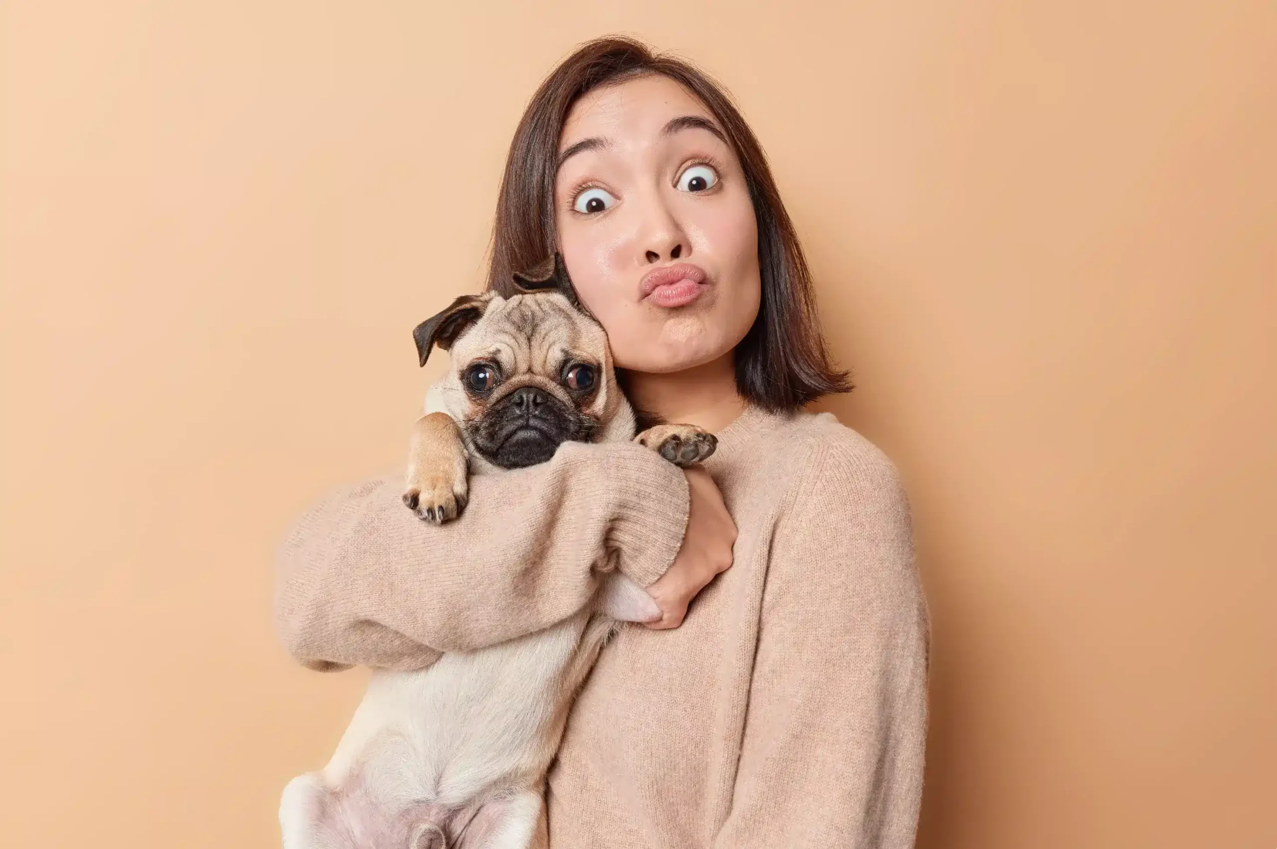 Pengiriman Hewan Peliharaan Aman: Panduan Lengkap Cara Mengirim Kucing, Anjing, atau Hewan Eksotis dengan Layanan Ekspedisi Terpercaya, Tips Packing, Regulasi, Transportasi, Asuransi, dan Strategi Agar Hewan Tetap Sehat dan Nyaman