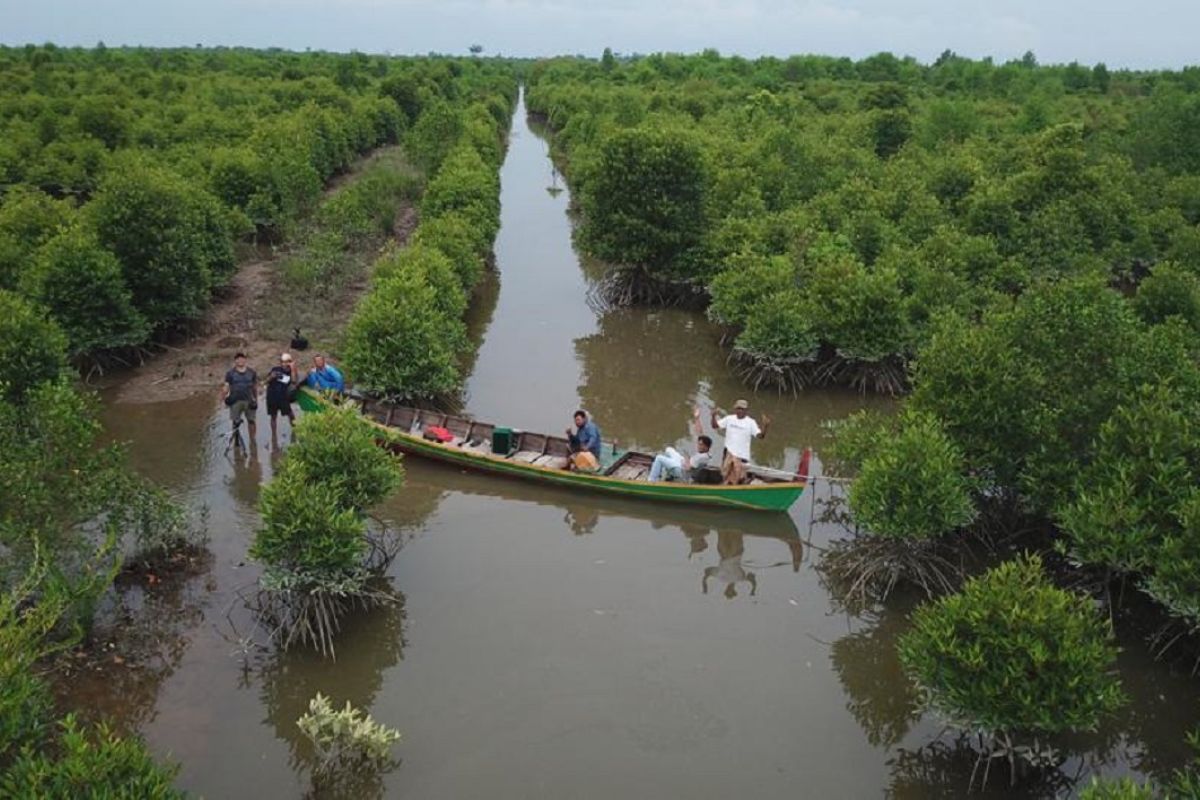 Rehabilitasi Hutan Mangrove: Strategi Pelestarian Ekosistem Pesisir, Mitigasi Perubahan Iklim, dan Pemberdayaan Ekonomi Masyarakat Pesisir Indonesia