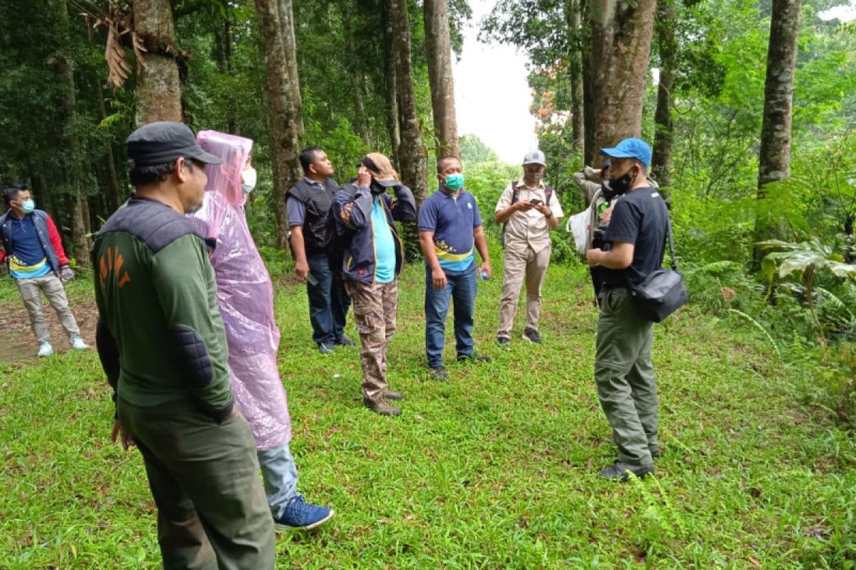 Pelestarian Taman Nasional Indonesia: Strategi, Tantangan, dan Peran Masyarakat dalam Menjaga Keanekaragaman Hayati Nusantara