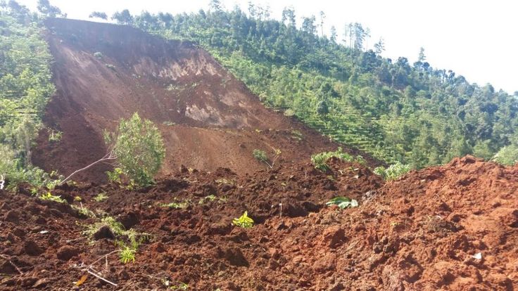 Fenomena Tanah Longsor Tiba-Tiba: Penyebab, Dampak Menghancurkan, dan Langkah Pencegahan Bencana di Wilayah Pegunungan dan Pesisir