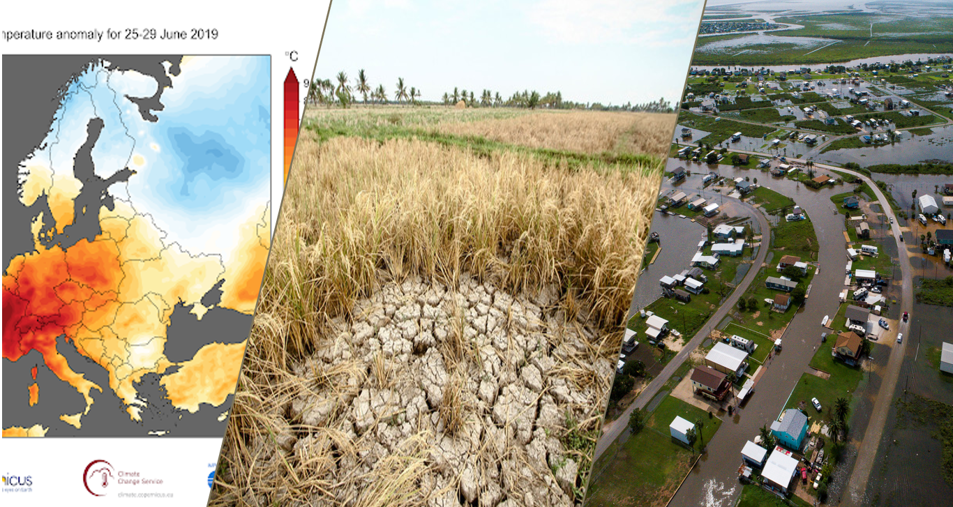 Perubahan Cuaca Ekstrem Bumi: Dampak Pemanasan Global, Penyebab Alam dan Manusia, Fenomena Cuaca Ekstrem Dunia, Solusi Adaptasi Lingkungan, dan Peran Teknologi dalam Mitigasi Iklim Global
